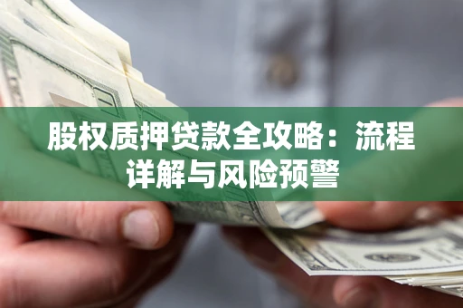 北京股权质押贷款全攻略：流程详解与风险预警