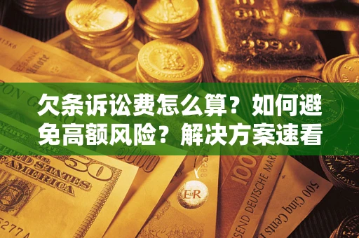 北京欠条诉讼费怎么算？如何避免高额风险？解决方案速看！