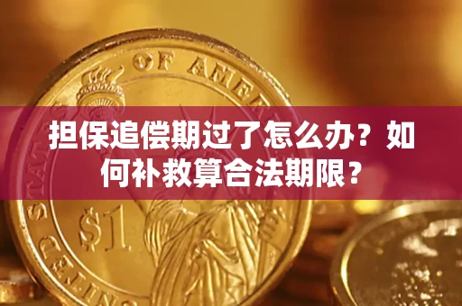 北京担保追偿期过了怎么办？如何补救算合法期限？