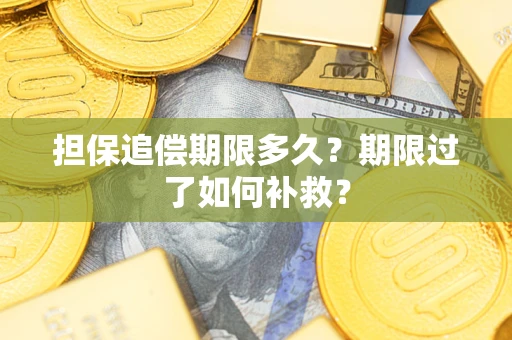 北京担保追偿期限多久？期限过了如何补救？