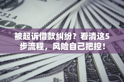北京被起诉借款纠纷？看清这5步流程，风险自己把控！